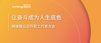 华体会在线锂业召开职工代表大会 坚持向奋斗者倾斜更多资源