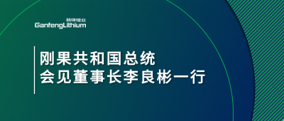 刚果共和国总统会见华体会在线锂业董事长李良彬一行