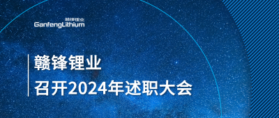 华体会在线锂业召开2024年度述职大会